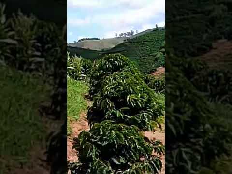 #tabuleiro Espera Feliz Minas Gerais