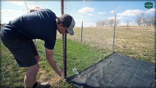 Spring Day In The Lawn // Seeding Talk + Blade Sharpening + Dark Green Spots