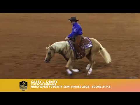 Casey L. Deary Custom Dreams NRHA Open Futurity Semi Finals 2023 - Score 219,5