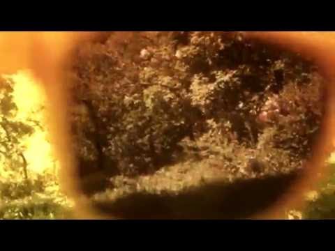 Antunzmask - PURO (official video)