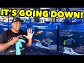 Best Fish For A 10 Gallon Saltwater Aquarium