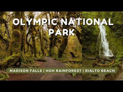 Olympic National Park Vlog | Madison Falls, Hoh Rainforest, Rialto Beach, Hole in the Wall Tidepools