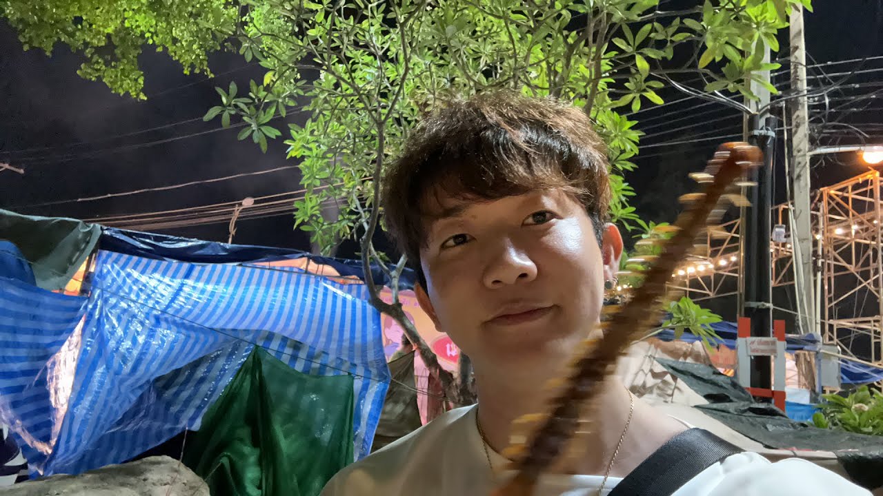 タイの屋台で買ったムカデ