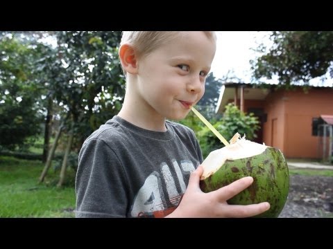 download lagu mp3 mp4 Coconut Water For Children, download lagu Coconut Water For Children gratis, unduh video klip Coconut Water For Children
