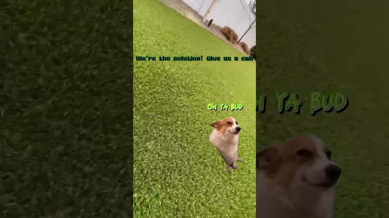 Almost a Hole in One! 5 Different Tee Boxes on Custom Putting Green