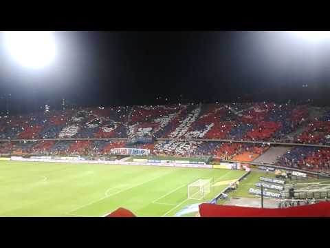 "Tifo monumentalÂ¡Â¡. La hinchada mas linda del mundo DIM" Barra: Rexixtenxia Norte • Club: Independiente Medellín