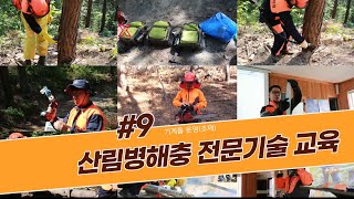 [산림병해충 예찰·방제 전문기술교육] 제9차시 기계톱 운용(조재)