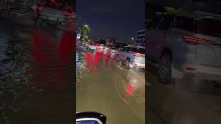 ライブ ハイライト