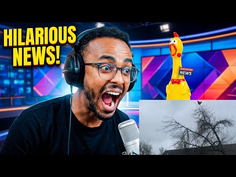 Breaking News? No… Just Hilarious | Screaming Chicken On Tree | Survive This Challenge WIN 💰