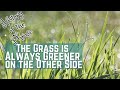 The grass is always greener on the other side - Idioms | History of the Phrase with Meanings