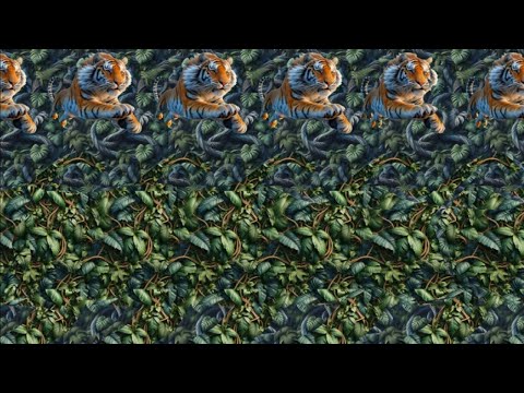 Animal Attraction 🐱 - 3D Stereogram Illusions