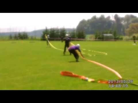 PS Maletín 2013 - SDH Nemile