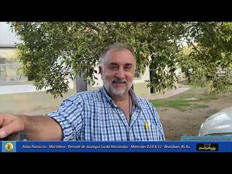 02-03-22 - Atilio Panaccio - Martillero - Remate de Jáuregui Lorda Haciendas   Brandsen, Bs.As.