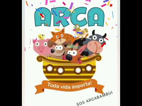 prefeitura de Bambuí gestão 2025, negligência a causa animal! #pets #cachorro