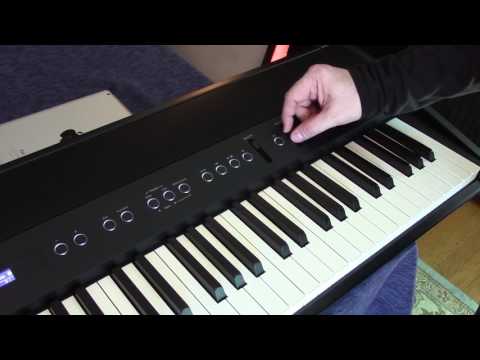 FP90 Roland רולנד תמונה 2