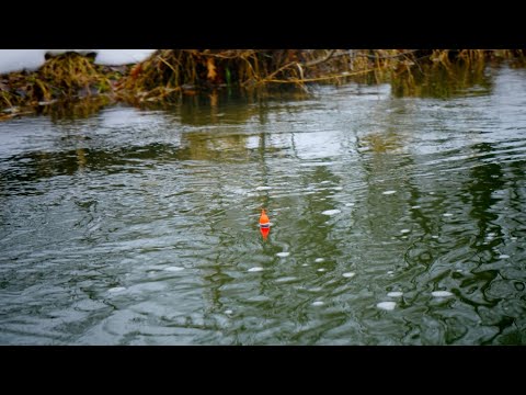 BOBBER DOWNS! Insane River Steelhead Float Fishing Beatdown!!