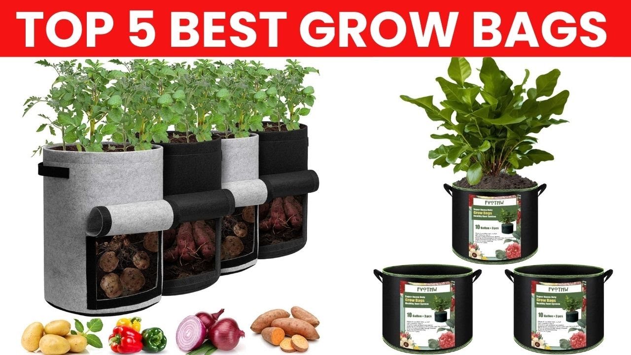 Top 5 Grow Bags for Healthy Plants 🌱  Best Fabric Pots for Gardening 2025