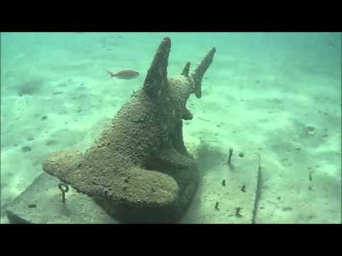 Girls day snorkeling Blue Heron