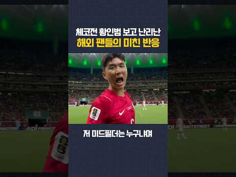 체코전 황인범 미친 활약에 난리난 해외 반응 ㄷㄷ
