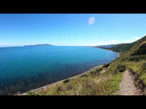 Paekakariki Escarpment Track