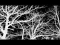 Les Discrets - "Ariettes Oubliées" [Music Video ...