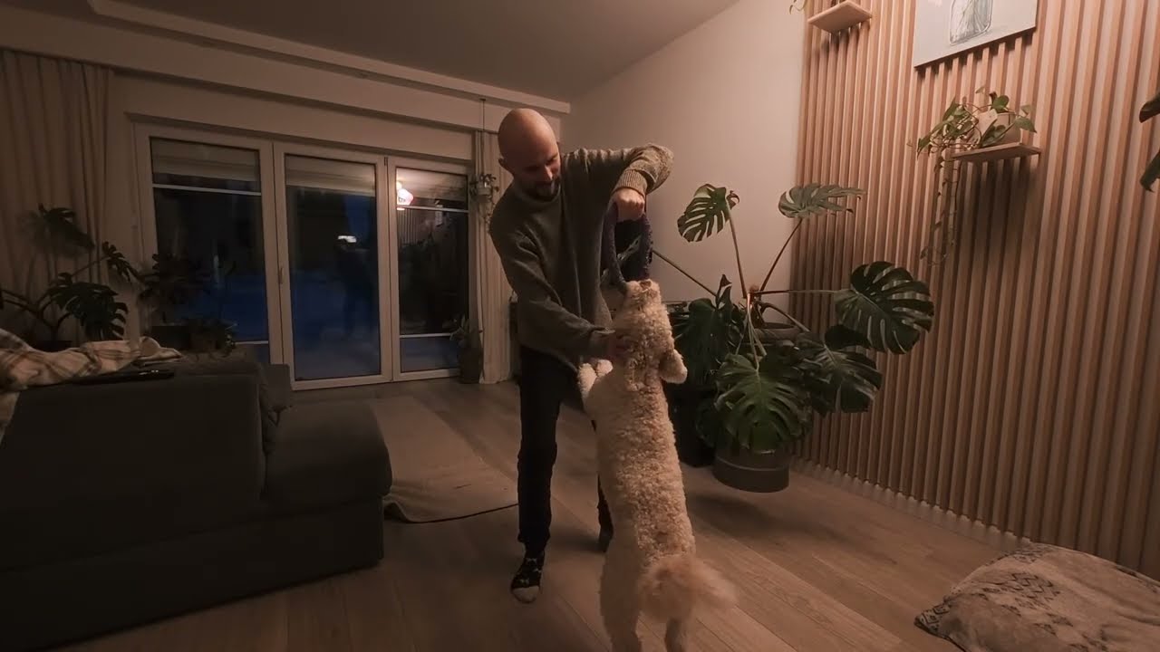 Zabawa z psem