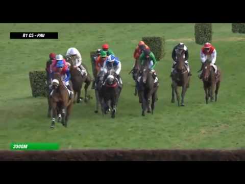 Caro Des Flos - Pau 4-Y-O Prix De Garlin Hurdle (Winner Moved To Willie Mullins) [29/01/16]