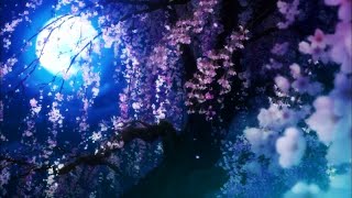 【非参加型】うさぎ派を勝たせたい配信🐰