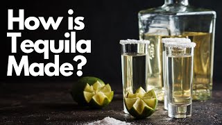 How is Tequila Made