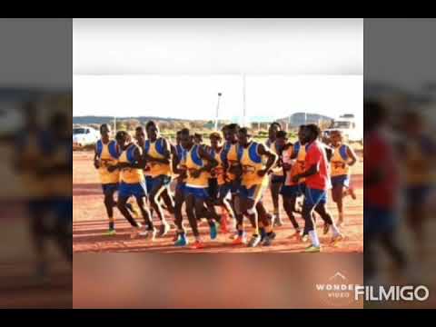 MOUNT ALLAN EAGLES 🇺🇦🦅