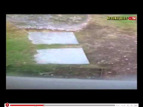 Galen tant skriker åt sin man som blir attackerad av en björn