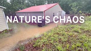 Won’t Stop: Floods, Rain, and the Tick Explosion