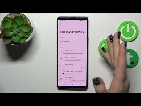 How to Mute Ringtone of Sony Xperia 5 IV - Turn Down Ringtone Volume