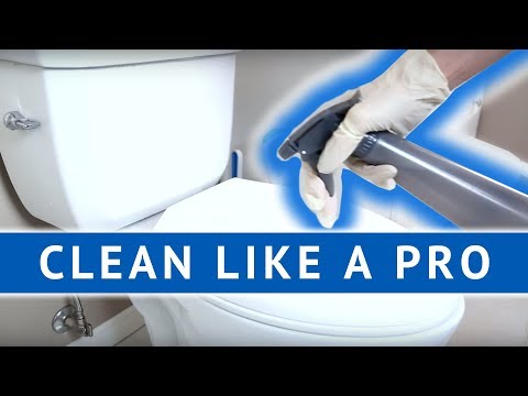 CLEAN LIKE A PRO: Cleaning the Toilet!