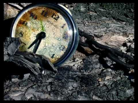 Владимир Ефимов - Время-река (На пять минут в СССР)