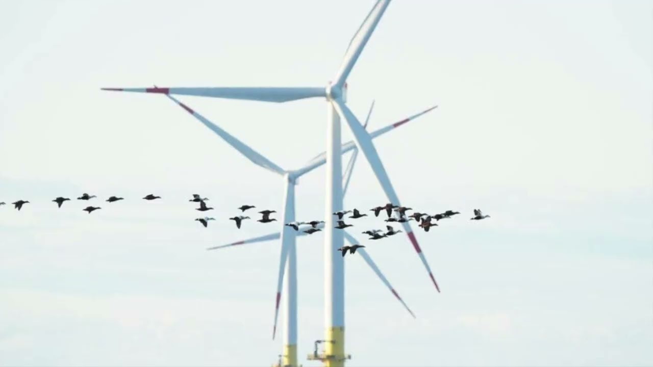 a perfect day in hell from 