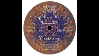 Pleiadians - Zeta Reticuli [AFR008]