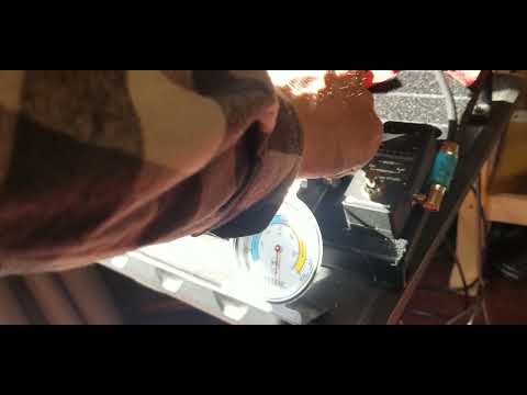 Germanium Fuzz 80° and direct sunlight. PTD Burning Sensation and Kaiju (silicon)