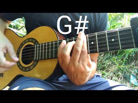 Estradeiro - Almir Sater