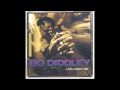 Bo Diddley - Kids Don't Do It