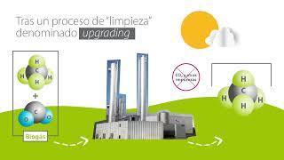 Extracto informativo 22-10-25 Rada convoca una manifestación en contra de la planta de biogás