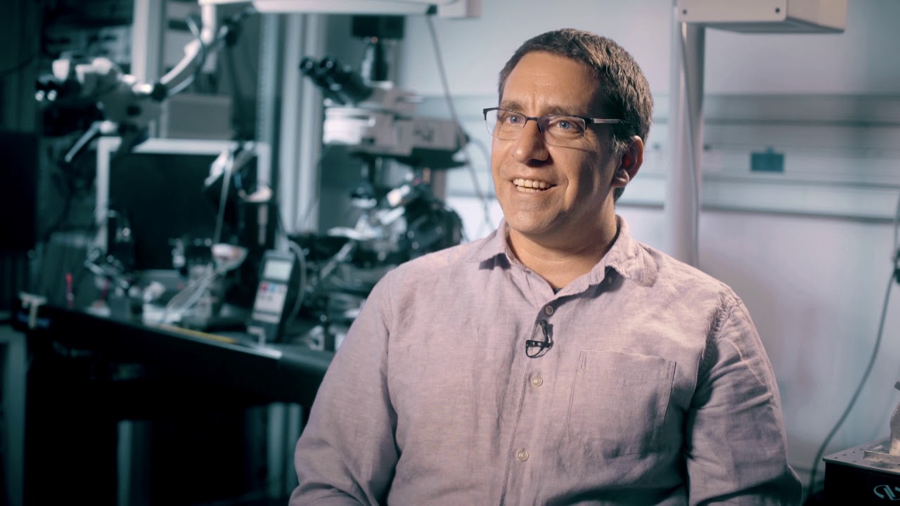 Dr. Ivo Spiegel - Zuckerman STEM Leadership Faculty Program