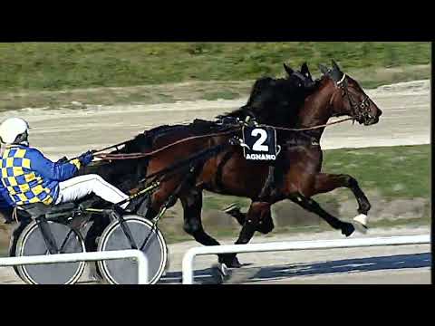 Napoli Trotto 03/02/2023 - 3ª corsa