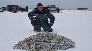 Зимняя рыбалка в де кастри форум