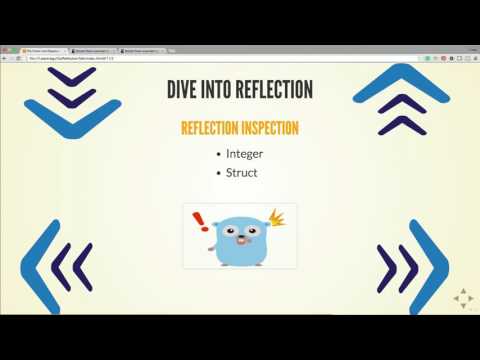 GopherCon 2016: The Power and Elegance of Reflection - Emily Gu
