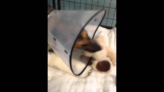 Boone and teddy bear