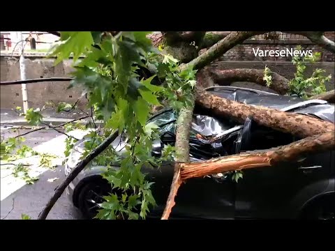 Temporale fortissimo: alberi caduti, auto schiacciate, centro commerciale allagato