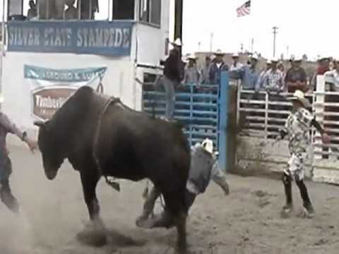 Elko 2012 855 Disco Inferno