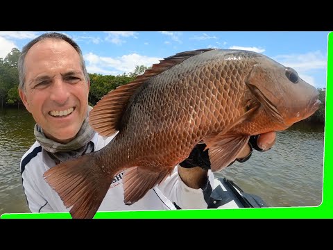Small Inflatable boat fishing - Electric outboard - 2 day solo boat camping - Day 1 - EP.579