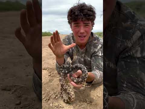 ATTACKED BY A SNAKE 🐍 😳